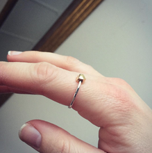 Load image into Gallery viewer, DOROTHEAS JEWELRY RÄTTFÄRDIGHETENS PANSAR NÄTT RING