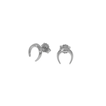 Load image into Gallery viewer, CU JEWELRY DREAM BIG LUCKY EARRINGS SILVER
